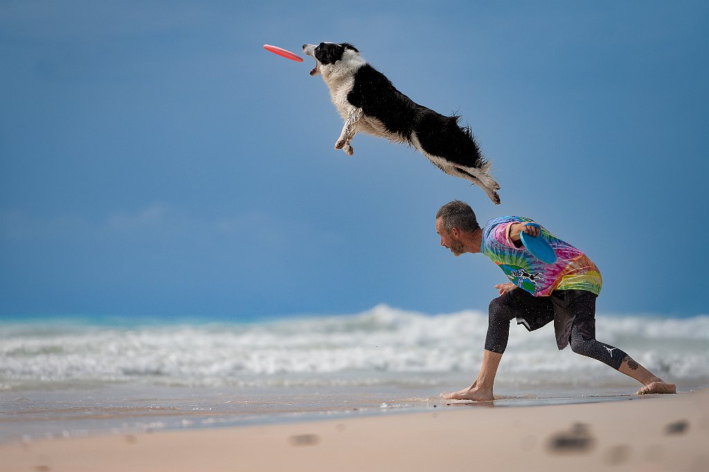 MARTORANA MANUELA-TEMA A- CATCH ON THE BEACH.jpg